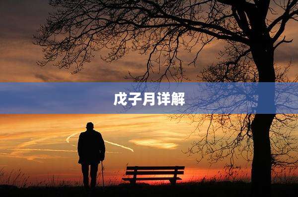 戊子月详解