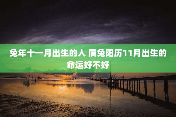 兔年十一月出生的人 属兔阳历11月出生的命运好不好