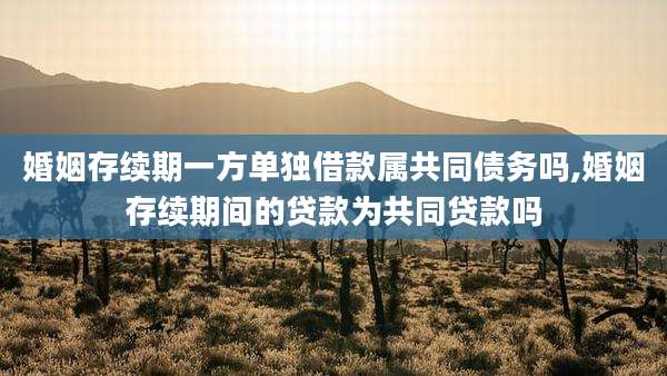 婚姻存续期一方单独借款属共同债务吗,婚姻存续期间的贷款为共同贷款吗