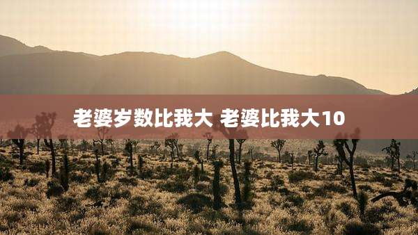 老婆岁数比我大 老婆比我大10
