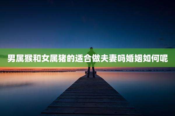 男属猴和女属猪的适合做夫妻吗婚姻如何呢