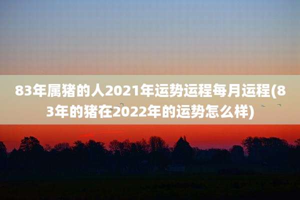 83年属猪的人2021年运势运程每月运程(83年的猪在2022年的运势怎么样)