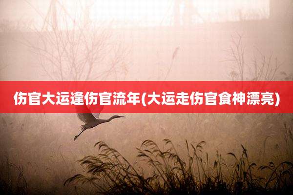 伤官大运逢伤官流年(大运走伤官食神漂亮)