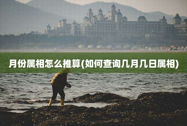月份属相怎么推算(如何查询几月几日属相)