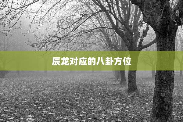 辰龙对应的八卦方位