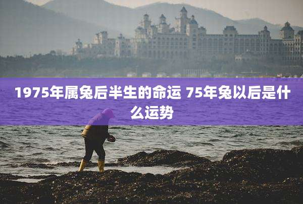1975年属兔后半生的命运 75年兔以后是什么运势