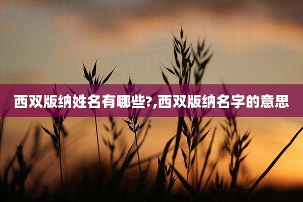 西双版纳姓名有哪些?,西双版纳名字的意思