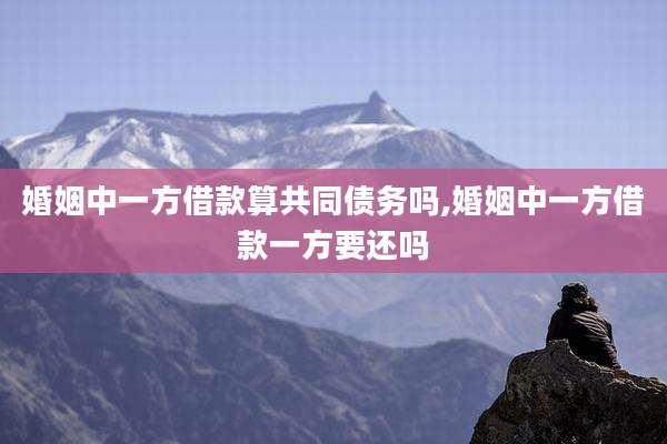 婚姻中一方借款算共同债务吗,婚姻中一方借款一方要还吗
