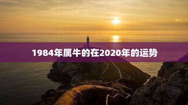 1984年属牛的在2020年的运势