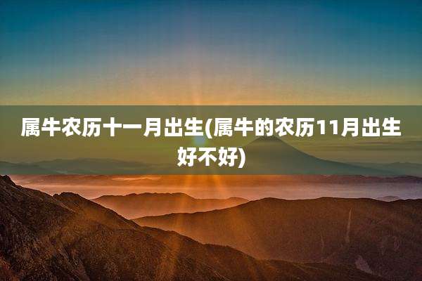 属牛农历十一月出生(属牛的农历11月出生好不好)