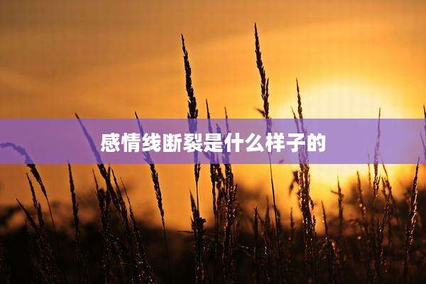 感情线断裂是什么样子的