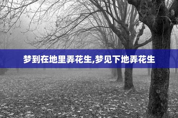 梦到在地里弄花生,梦见下地弄花生