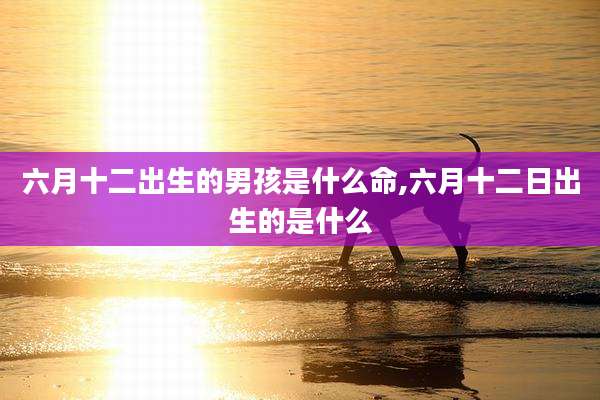 六月十二出生的男孩是什么命,六月十二日出生的是什么