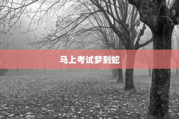 马上考试梦到蛇
