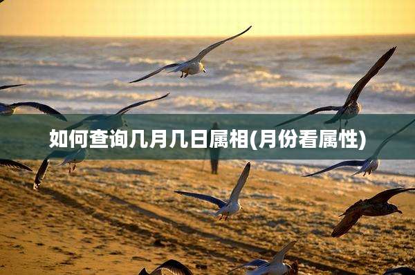 如何查询几月几日属相(月份看属性)