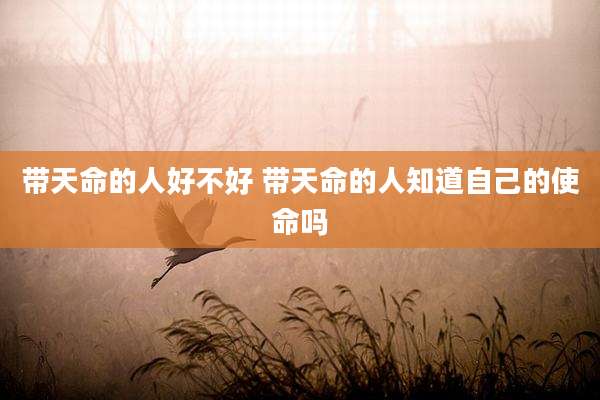 带天命的人好不好 带天命的人知道自己的使命吗