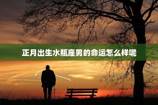 正月出生水瓶座男的命运怎么样呢