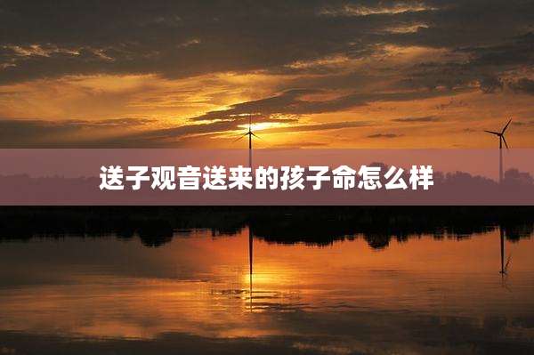 送子观音送来的孩子命怎么样