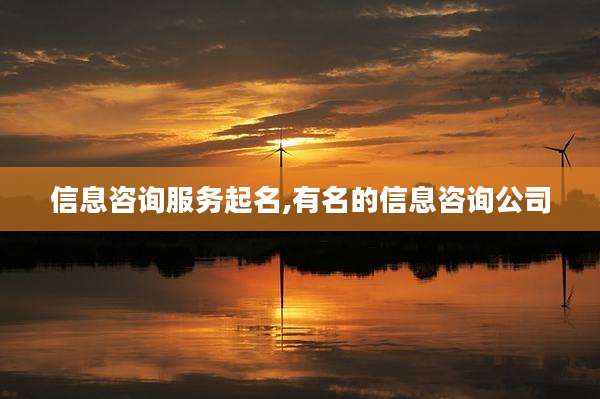 信息咨询服务起名,有名的信息咨询公司