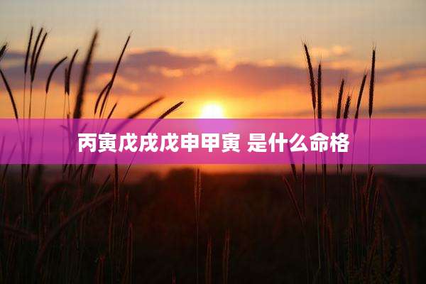丙寅戊戌戊申甲寅 是什么命格