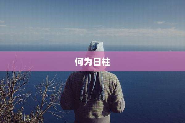 何为日柱