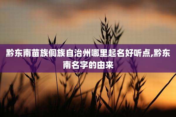 黔东南苗族侗族自治州哪里起名好听点,黔东南名字的由来