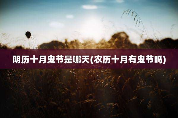 阴历十月鬼节是哪天(农历十月有鬼节吗)