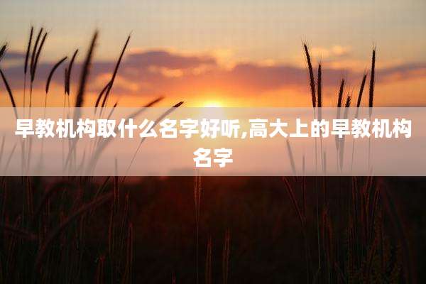 早教机构取什么名字好听,高大上的早教机构名字