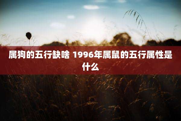 属狗的五行缺啥 1996年属鼠的五行属性是什么