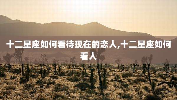 十二星座如何看待现在的恋人,十二星座如何看人