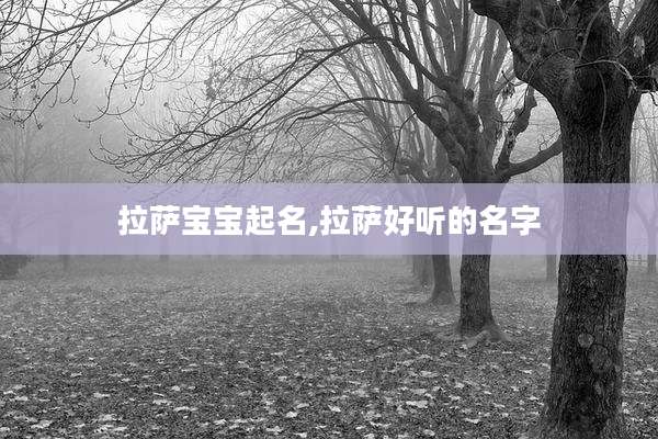 拉萨宝宝起名,拉萨好听的名字