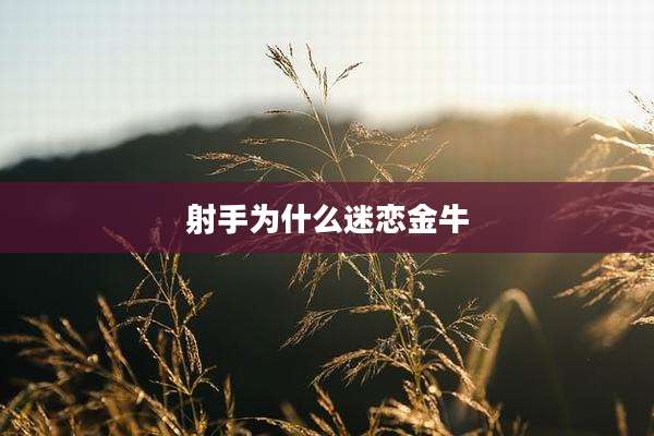 射手为什么迷恋金牛