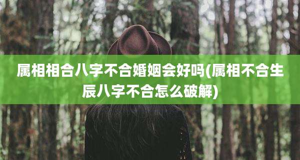 属相相合八字不合婚姻会好吗(属相不合生辰八字不合怎么破解)