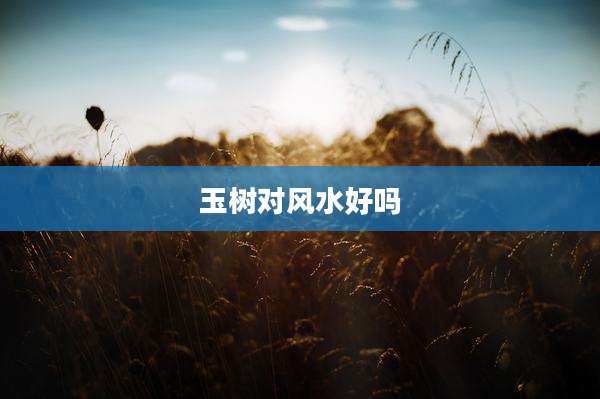 玉树对风水好吗