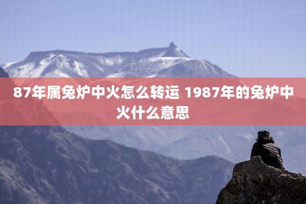 87年属兔炉中火怎么转运 1987年的兔炉中火什么意思