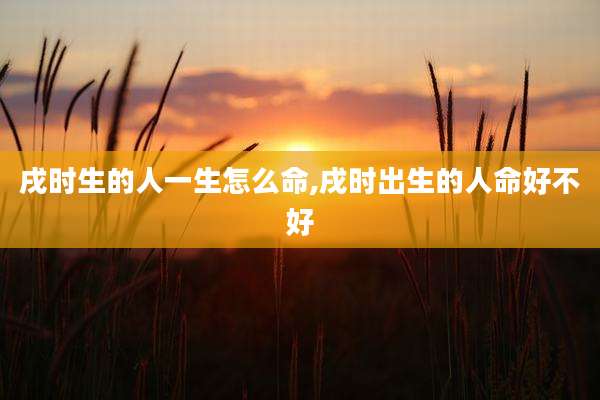 戌时生的人一生怎么命,戌时出生的人命好不好