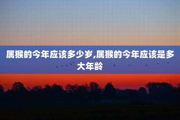 属猴的今年应该多少岁,属猴的今年应该是多大年龄