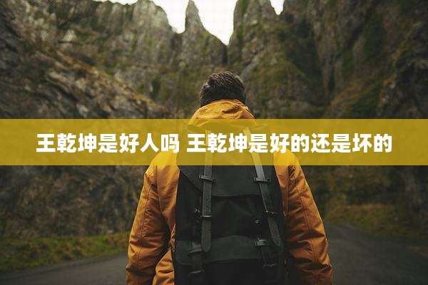 王乾坤是好人吗 王乾坤是好的还是坏的