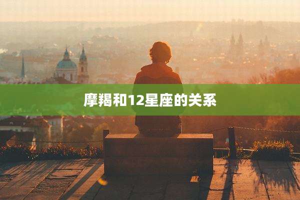 摩羯和12星座的关系