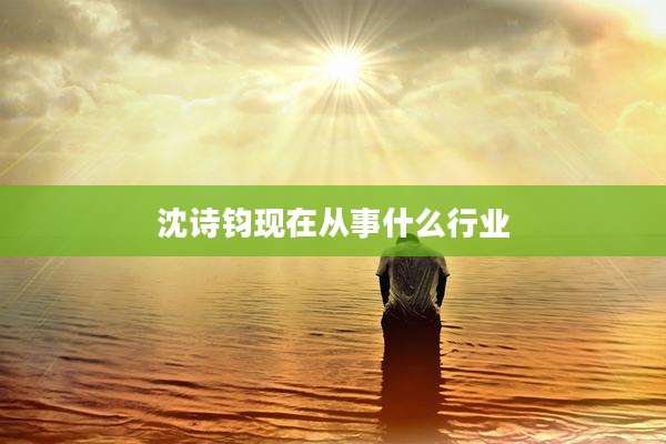 沈诗钧现在从事什么行业