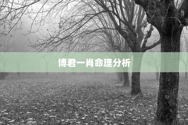 博君一肖命理分析