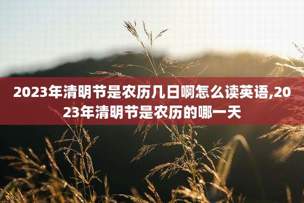 2023年清明节是农历几日啊怎么读英语,2023年清明节是农历的哪一天