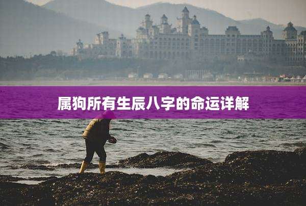 属狗所有生辰八字的命运详解