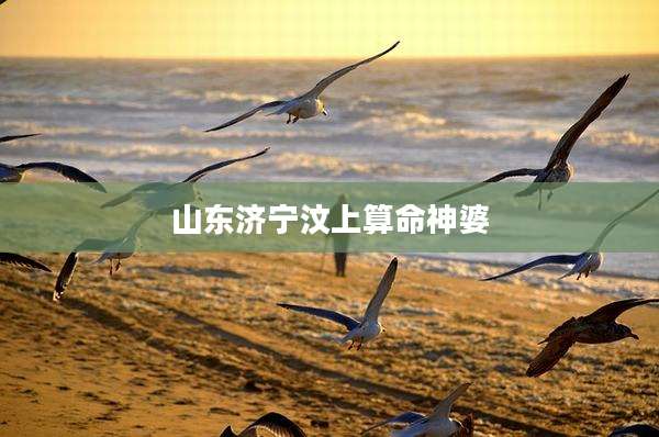 山东济宁汶上算命神婆