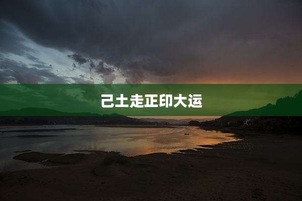 己土走正印大运