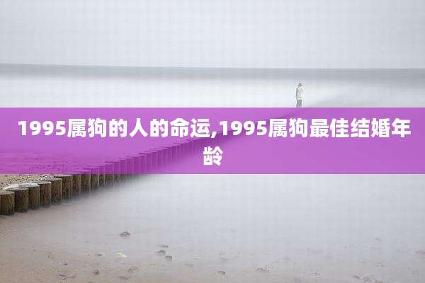 1995属狗的人的命运,1995属狗最佳结婚年龄