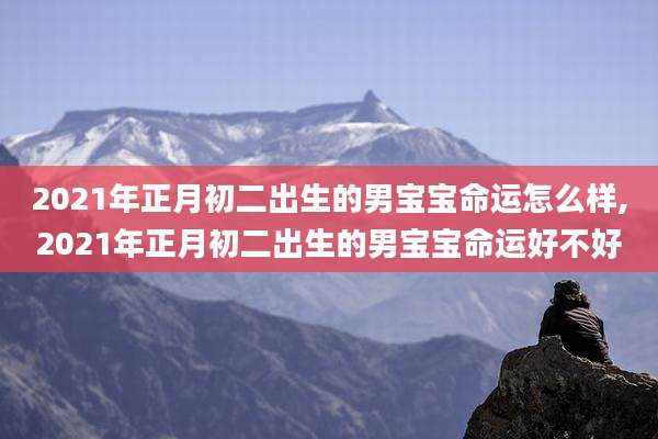 2021年正月初二出生的男宝宝命运怎么样,2021年正月初二出生的男宝宝命运好不好