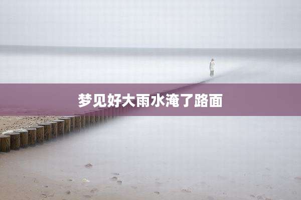 梦见好大雨水淹了路面