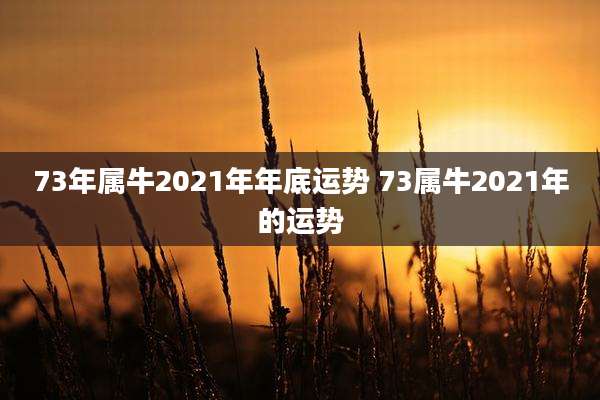 73年属牛2021年年底运势 73属牛2021年的运势