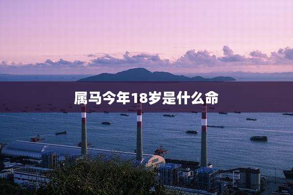 属马今年18岁是什么命